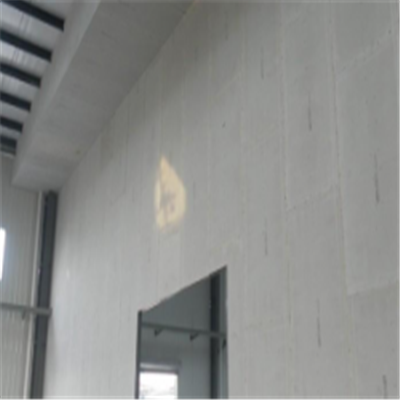 微山宁波ALC板|EPS加气板隔墙与混凝土整浇联接的实验研讨